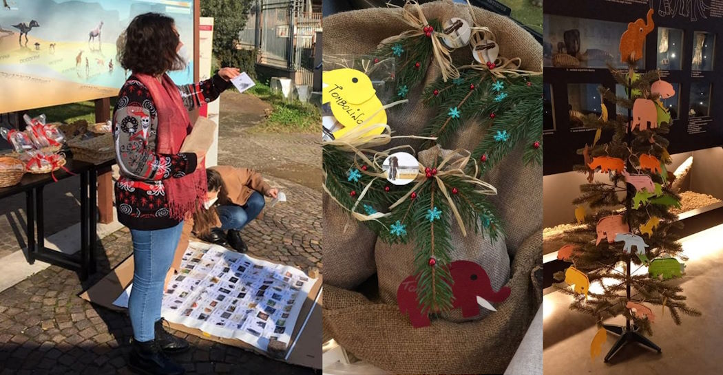 Alcune immagini delle iniziative natalizie al Museo di Casal de’ Pazzi del 2021 (da sx a dx: I volontari del Servizio Civile Universale 2021-22 durante la tombolata; alcuni premi della tombolata; l’albero di Natale decorato dai visitatori) Alcune immagini delle iniziative natalizie al Museo di Casal de’ Pazzi del 2021 (da sx a dx: I volontari del Servizio Civile Universale 2021-22 durante la tombolata; alcuni premi della tombolata; l’albero di Natale decorato dai visitatori)