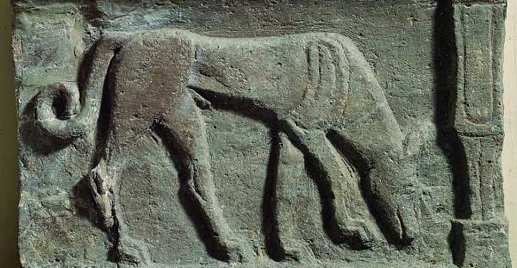 Il mondo funerario degli Etruschi Il mondo funerario degli Etruschi