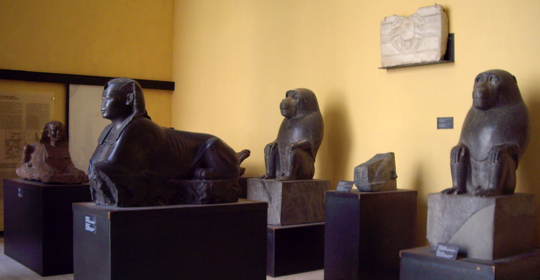 Palazzo Nuovo - Sala Egizia Palazzo Nuovo - Sala Egizia