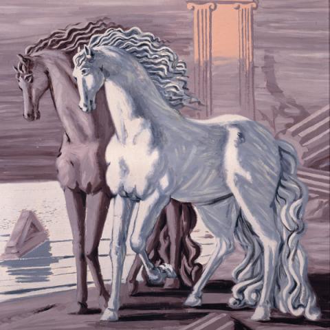 Cavalli Cavalli